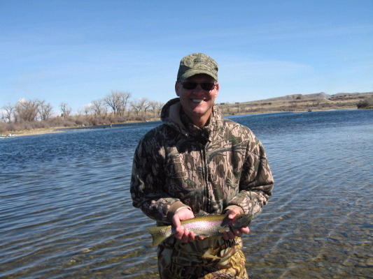Montana Rainbow Trout